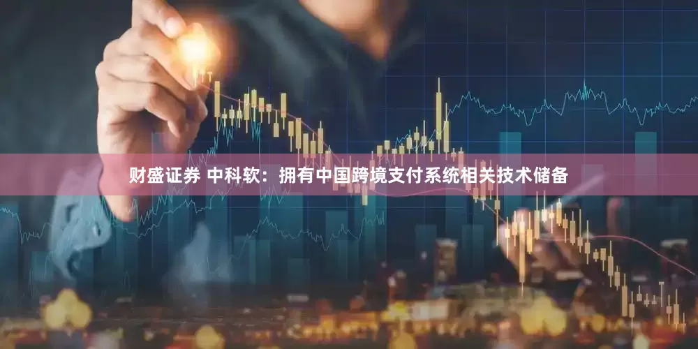 财盛证券 中科软：拥有中国跨境支付系统相关技术储备
