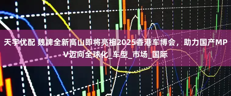 天宇优配 魏牌全新高山即将亮相2025香港车博会，助力国产MPV迈向全球化_车型_市场_国际