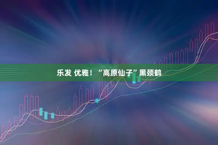 乐发 优雅！“高原仙子”黑颈鹤