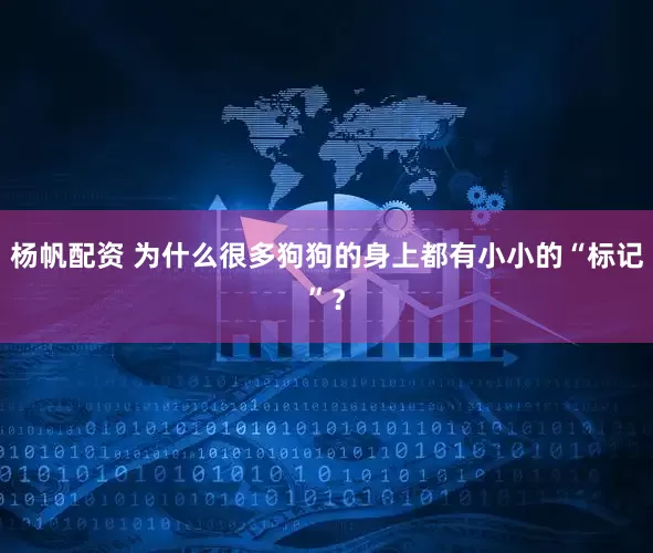 杨帆配资 为什么很多狗狗的身上都有小小的“标记”？